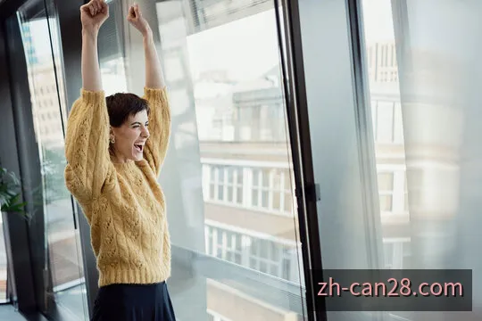加拿大28官网入口骨干网络拓扑架构图